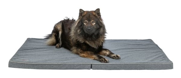 Miniatyrbillede 3 af 6: TRIXIE 284406 hunde- og katteseng Måtte til kæledyr