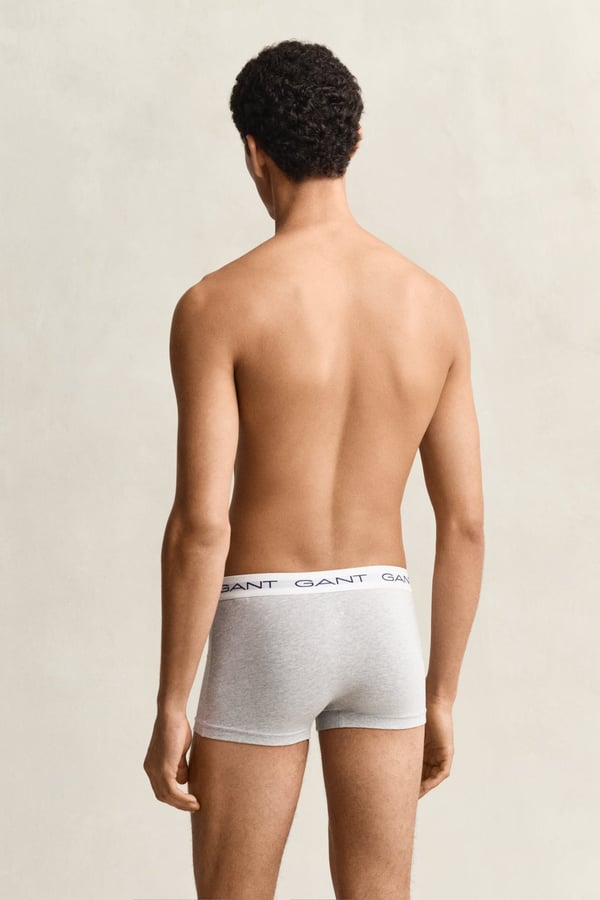 Gant 900023003-94 Grå