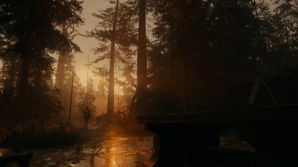 Pikkukuva 7 / 20: Epic Games Alan Wake II Deluxe Xbox Series X