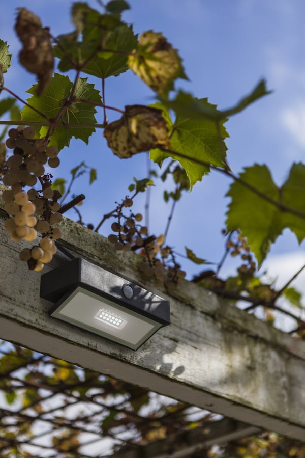 LUTEC ARROW Udendørs vægbelysning LED