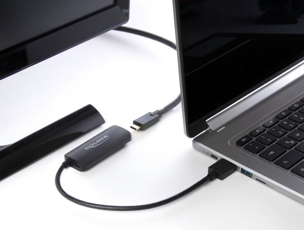 DeLOCK Videointerface-konverter