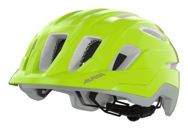 Miniatyrbillede 2 af 7: Alpina Sports PARANUS MIPS Grøn, Grå