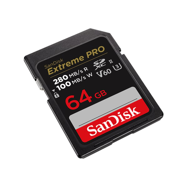 SanDisk SDSDXEP-064G-GN4IN hukommelseskort 64 GB SDXC UHS-II Klasse 10