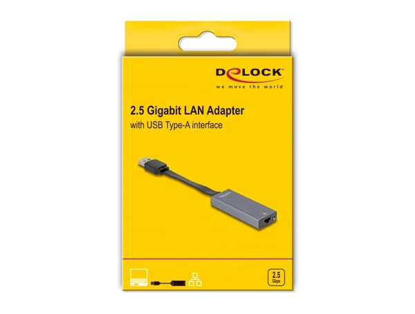 DeLOCK 66247 kabel kønsskifter RJ-45 USB A Grå