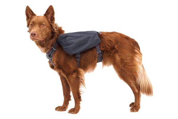 Miniatyrbild 2 av 6: Ruffwear Front Range Day Pack S Grå Polyester