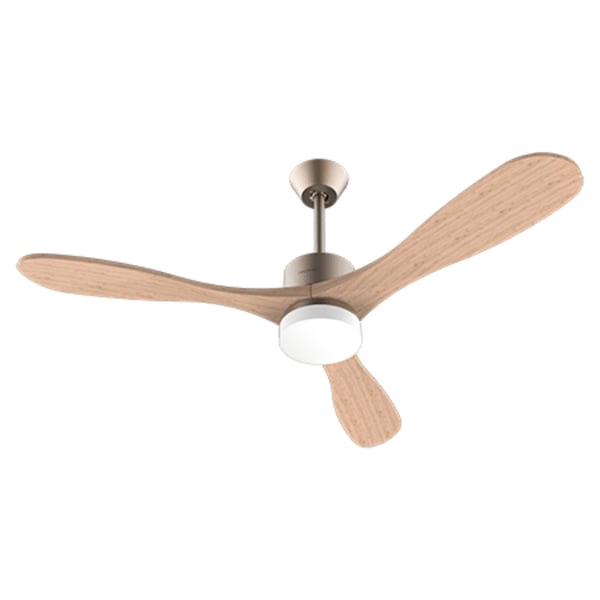 Cecotec 05983 hushållsfläkt Guld