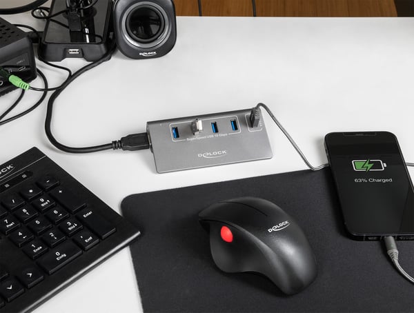 DeLOCK 64182 gränssnittshubbar USB 3.2 Gen 2 (3.1 Gen 2) Type-A 10 Mbit/s Grå