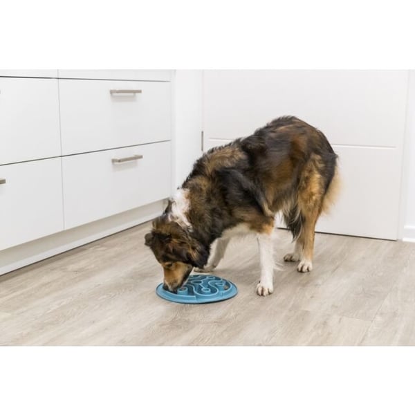 TRIXIE 25037 skål till hund och katt Matskål för husdjur