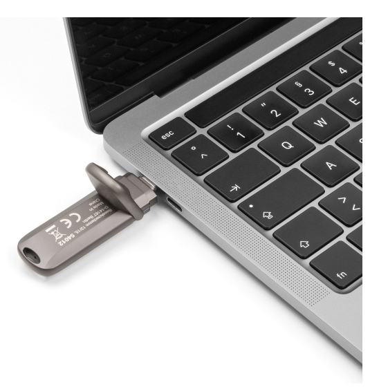 DeLOCK 54012 USB-sticka 256 GB USB Type-C Grå