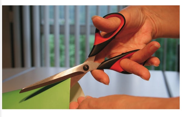 Miniatyrbillede 2 af 2: BESSEY D821-160 saks til kontorartikel Universel Lige snit Sort, Rød