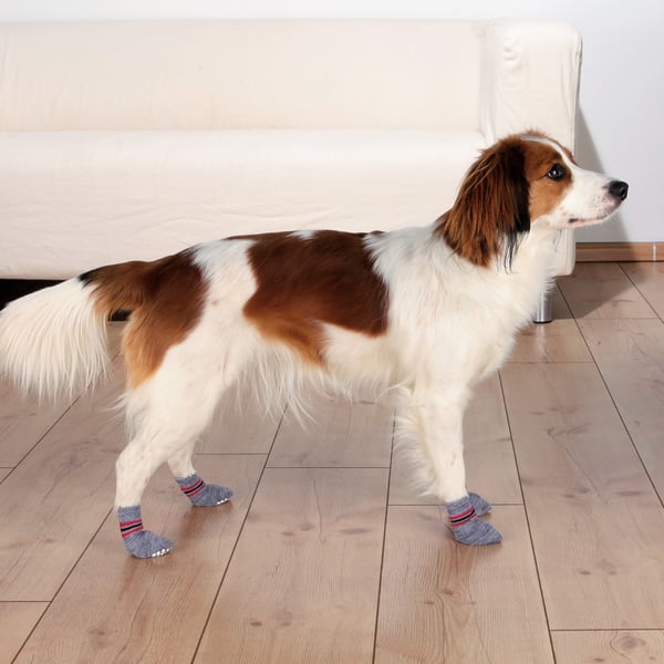 TRIXIE 19504 hundsock