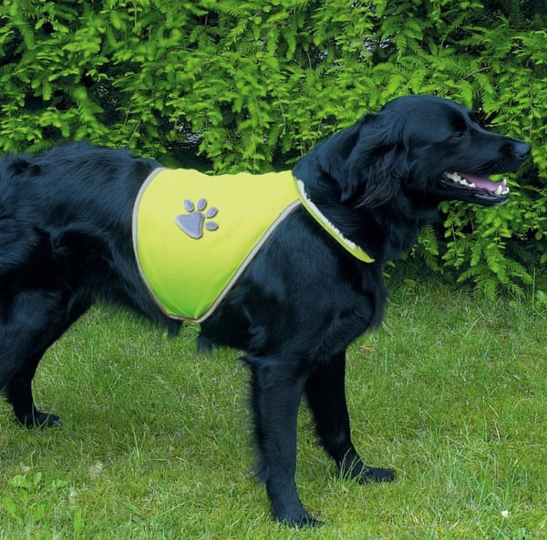 TRIXIE 30084 sikkerhedsvest til hund XL Polyester Gul