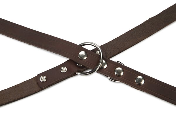 Miniatyrbillede 2 af 3: Beeztees 736406 2,4 m Brun Læder Hund Standardledning