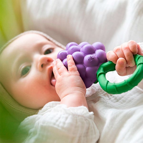 Oli&Carol Grape Rattle purulelu