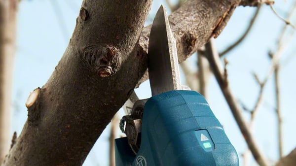 Bosch Pro Pruner Professional batteridreven græssaks 2,5 cm 12 V Lithium-Ion (Li-Ion) Sort, Blå
