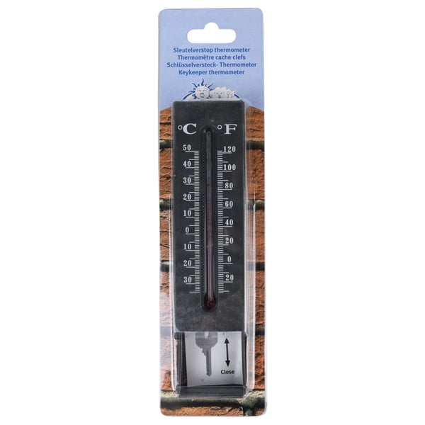 Miniatyrbillede 2 af 3: Esschert Design TH78 termometer til miljøet