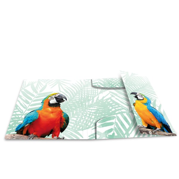 Pikkukuva 3 / 5: HERMA Tropical clique Polypropeeni (PP) Monivärinen A3