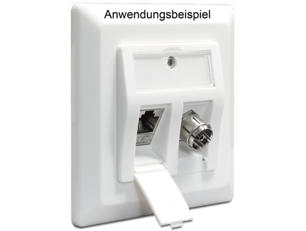 DeLOCK 86202 stikdåse