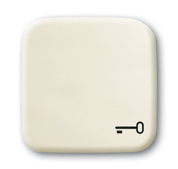 Miniatyrbild 1 av 2: Busch-Jaeger 2520 TR-212 Beige