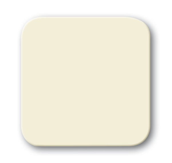 Busch-Jaeger 2506 O-212 Beige