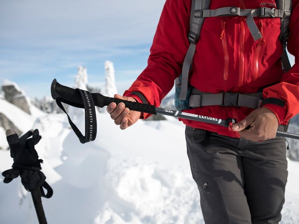 MSR DynaLock Explore vandringsstav Unisex Teleskopisk