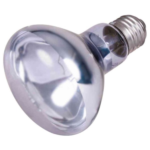 TRIXIE 4011905760087 värmelampa för reptil 100 W 1 styck