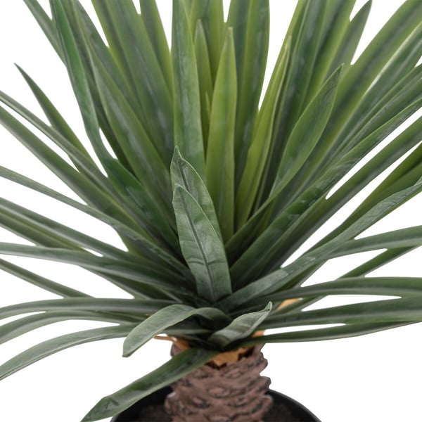 Miniatyrbillede 2 af 2: Atmosphera 193742 kunstig plante