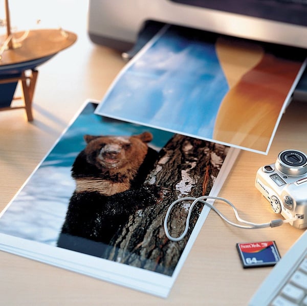 Avery C9431-50 fotopapir A4 Hvid Glans