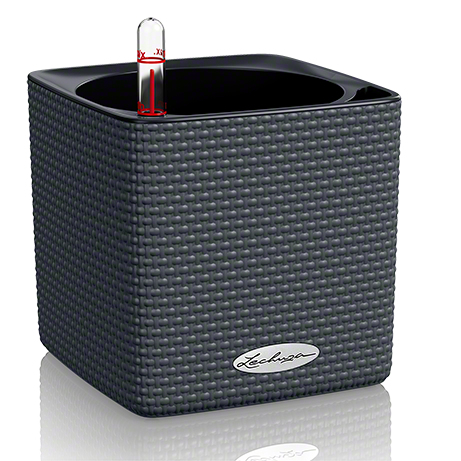 LECHUZA CUBE Color 16 Sisä- ja ulkotila Istutusruukku Vapaasti seisova Polypropeeni (PP) Musta LECHUZA CUBE Color 16 Sisä- ja ulkotila Istutusruukku Vapaasti seisova Polypropeeni (PP) Musta