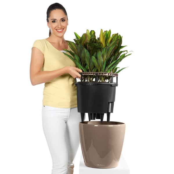 LECHUZA Classico LS 28 Sisätila Istutusruukku Vapaasti seisova Polypropeeni (PP) Taupe