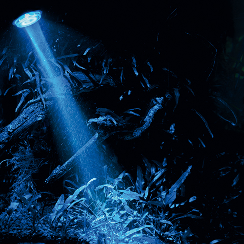 Miniatyrbillede 5 af 18: HOBBY Aquaristik Bubble Air Spot colour & moon LED Vekselstrøm Sort
