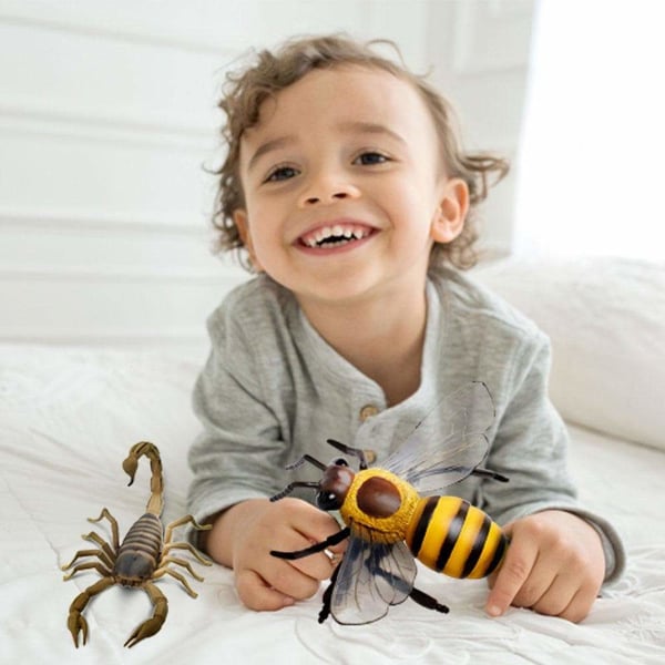 Safari Ltd Backyard Activity Bundle