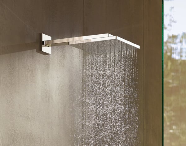 Hansgrohe Raindance E Fast brusehoved Krom