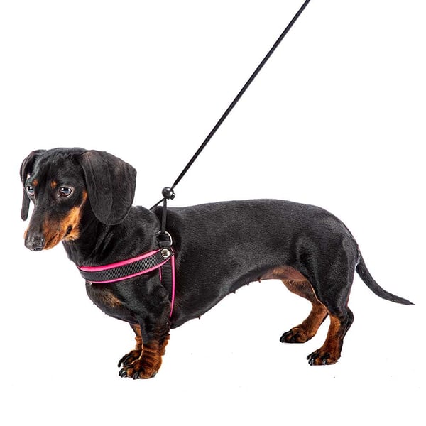Ferplast Agila Fluo Svart, Fuchsia Nylon Hund Västsele