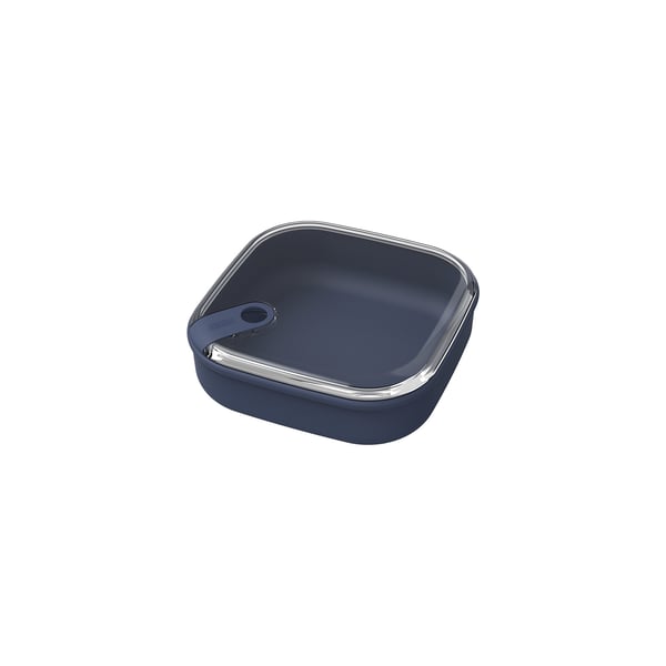 Miniatyrbillede 1 af 6: Rotho 1057106250WS Firkant Container 1 L Blå 1 stk