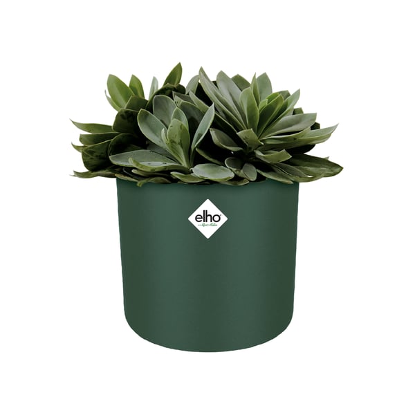 elho 8711904312893 urtepotte Grøn Plast