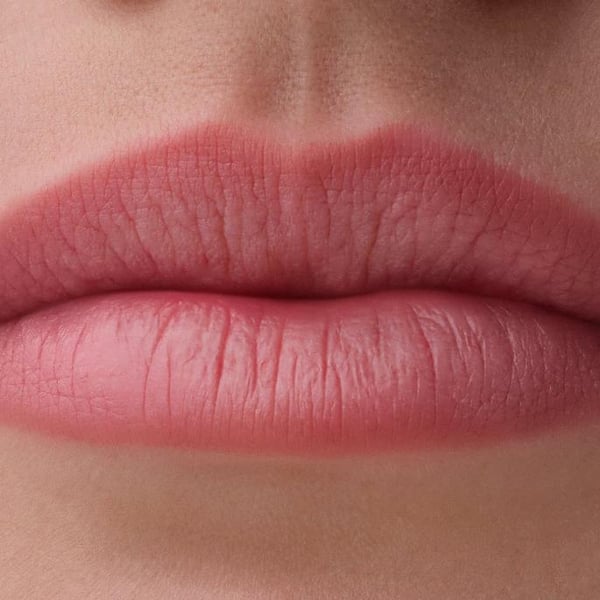Miniatyrbillede 2 af 7: CATRICE Blur-Real Lip Shaper 020 Snatched