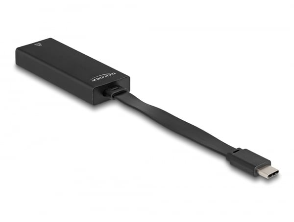 Miniatyrbillede 1 af 2: DeLOCK 66246 kabel kønsskifter RJ-45 USB C Sort