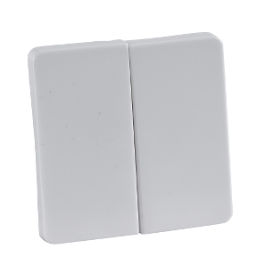 Schneider Electric 213504 elektrisk skift tilbehør Nøgle