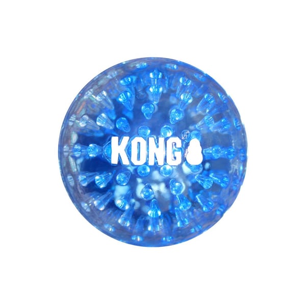 Miniatyrbillede 1 af 5: KONG Squeezz Geodz