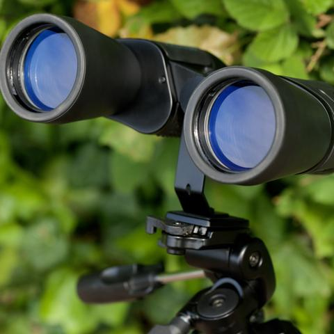Praktica Falcon 7x50 Binoculars kikkert BK-7 Sort