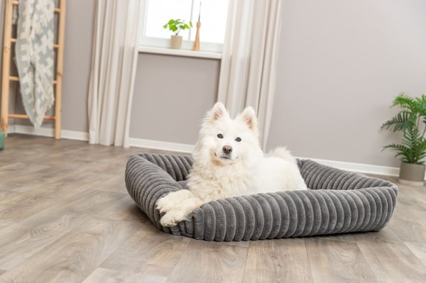 Miniatyrbillede 6 af 6: TRIXIE 374021 hunde- og katteseng Pude kæledyrseng