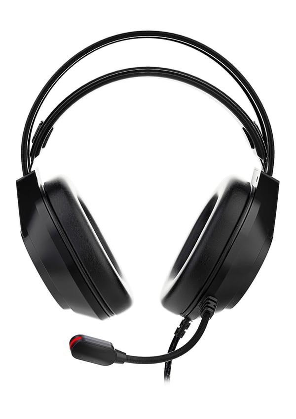 Deltaco Gaming DH220 USB Stereo Gaming Headset, RGB, Black