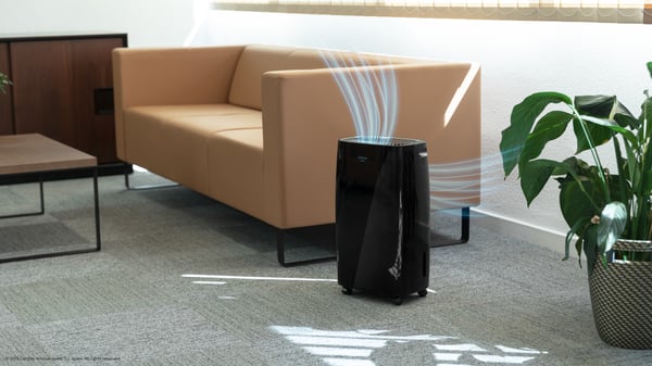 Cecotec BigDry 4000 Expert 2,5 l 205 W Svart