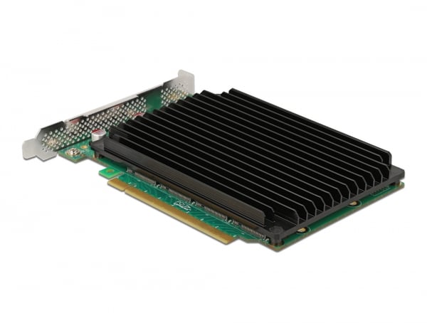DeLOCK 90054 nätverkskort/adapters Intern M.2