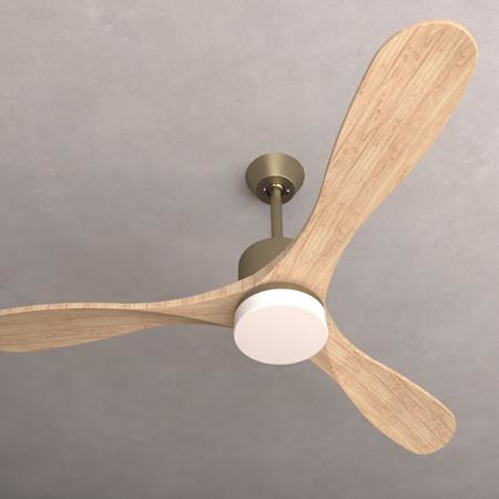 Cecotec 05983 hushållsfläkt Guld
