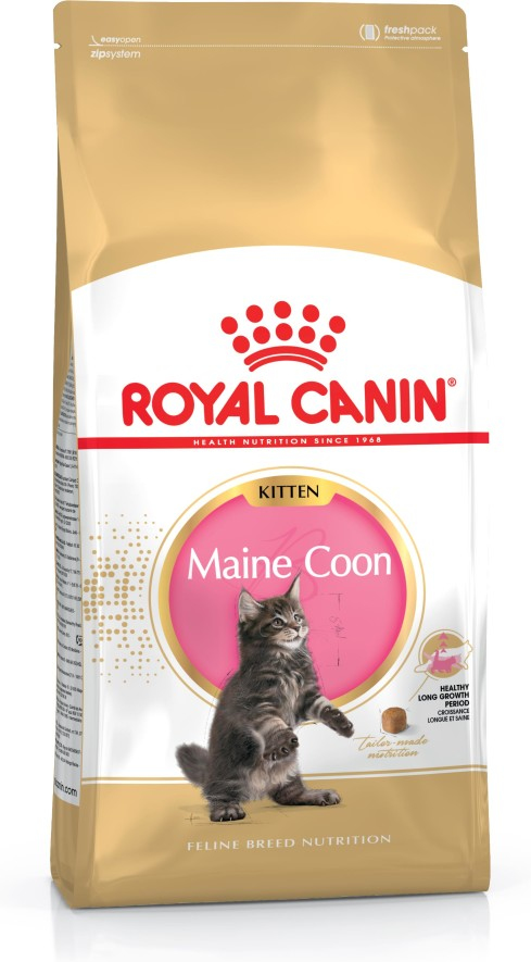 Royal Canin Maine Coon Kitten torrfoder till katt 400 g Kattunge Höns, Ris