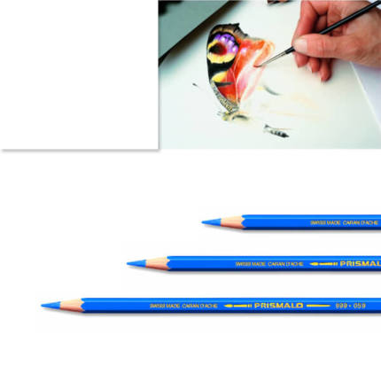 Artexport ME7610186842917 farveblyant Hvid Artexport ME7610186842917 farveblyant Hvid