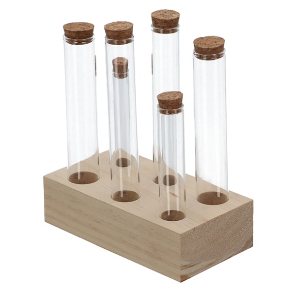 Miniatyrbillede 3 af 13: Esschert Design FH022 dekorativ flaske & krukke Transparent, Træ Glas 6 stk
