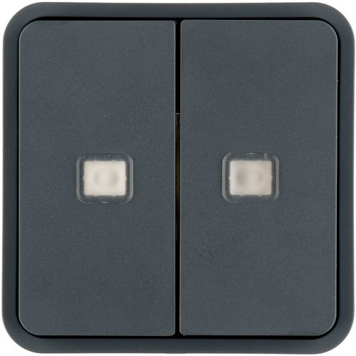 Berker KNX W.1 WIPPE F.TASTER-BA 2F.M / BERKER 30863555